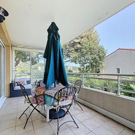 3 Pieces Paisible Parking Et Piscine Cannes